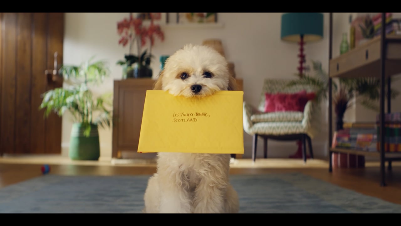 A small dog carrying a yellow envelope in Royal Mail’s Send It Your Way film